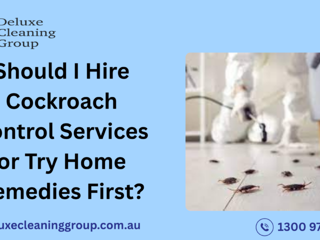 Should I Hire Cockroach Control Services or Try Home Remedies First?