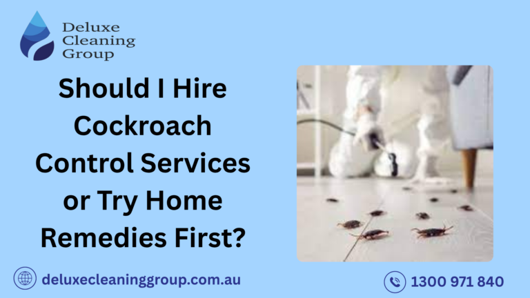 Should I Hire Cockroach Control Services or Try Home Remedies First?