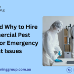 When and Why to Hire Commercial Pest Control for Emergency Pest Issues