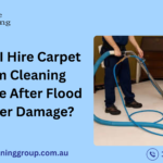 Should I Hire Steam Carpet Cleaning Brisbane After Flood or Water Damage?