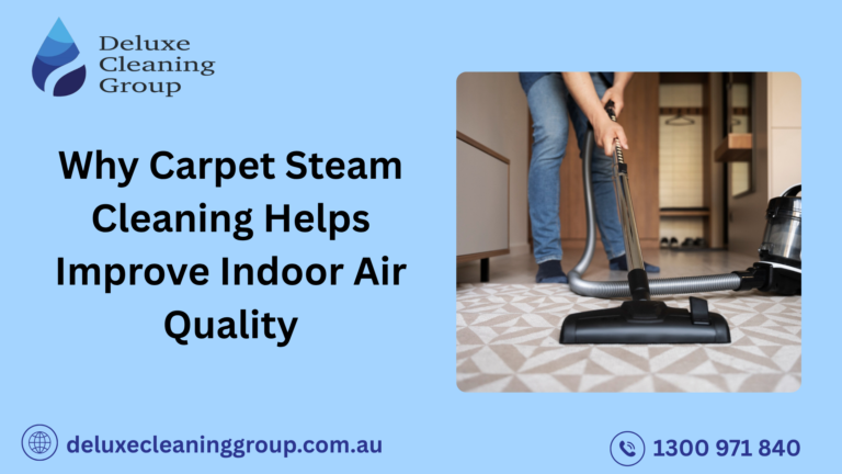 Why Carpet Steam Cleaning Helps Improve Indoor Air Quality