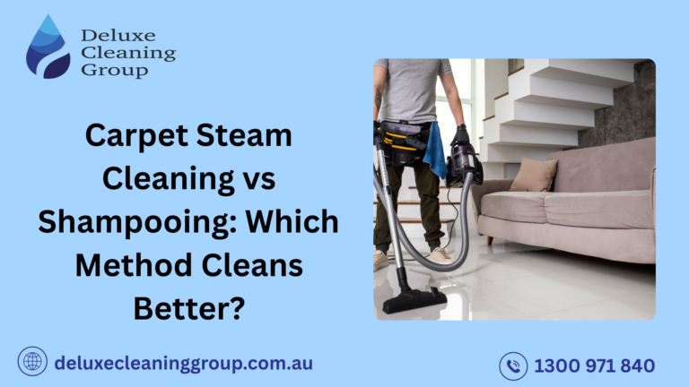 Carpet Steam Cleaning vs Shampooing: Which Method Cleans Better?